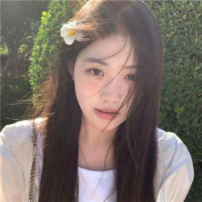 猫咪情缘