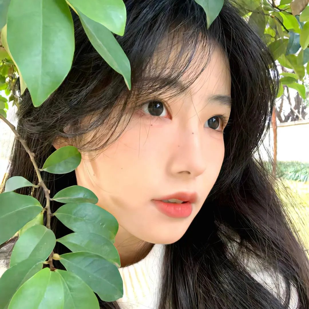 明天的少年